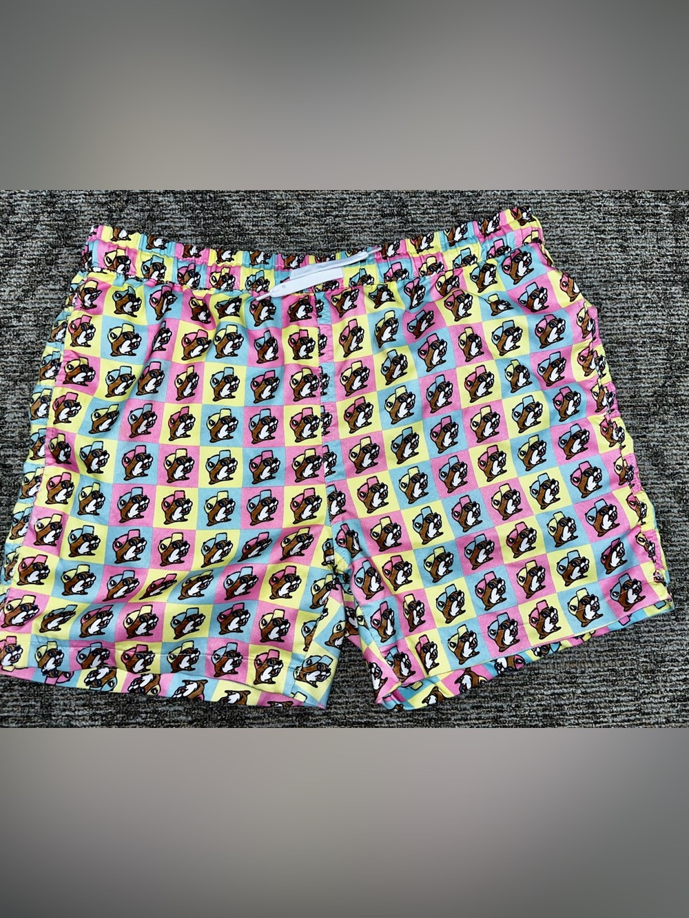 Pastel Multi-Color beaver Square Swim Trunks